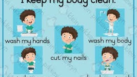 3rd STD SCIENCE "MY BODY"