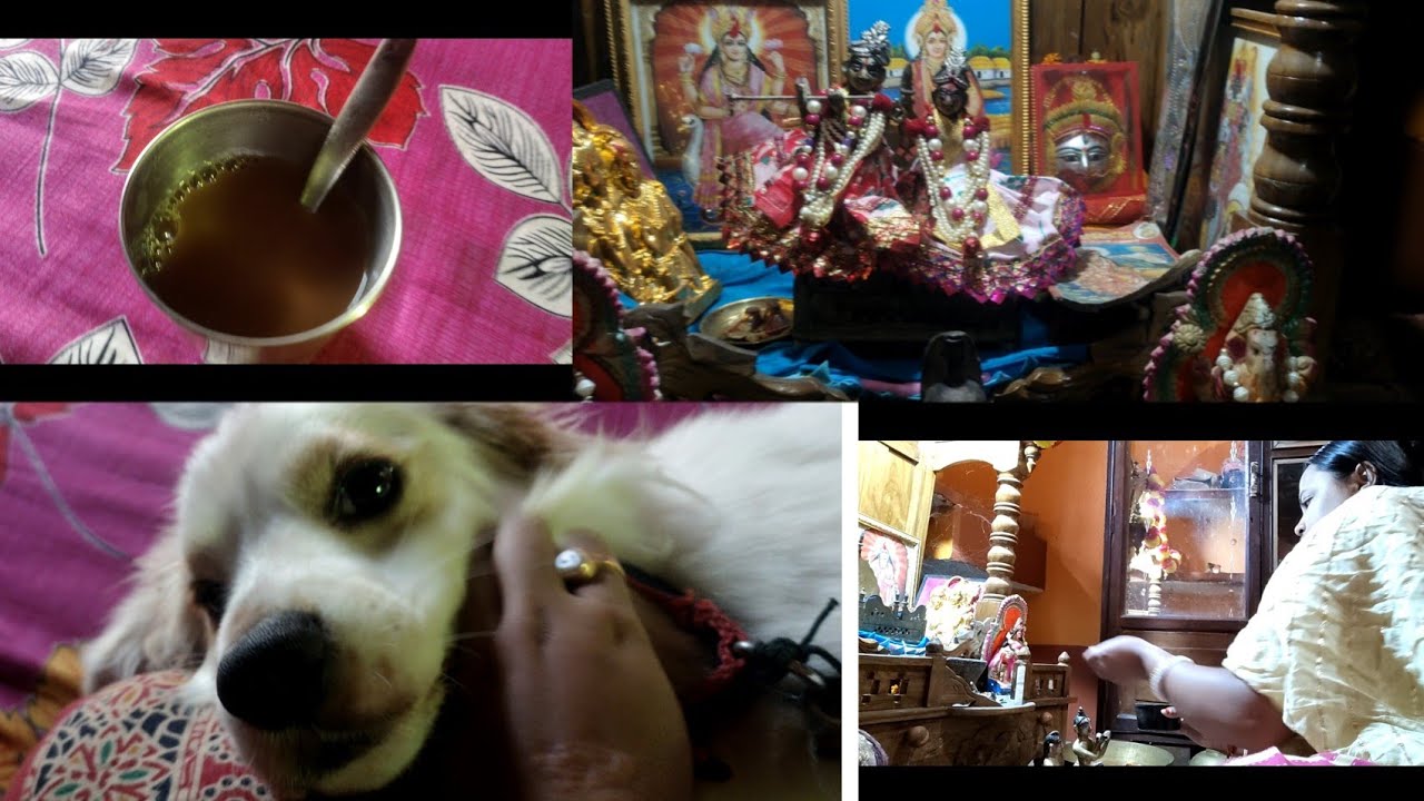 কুটু বুড়োর দুষ্টুমি।। সঙ্গে ছোট একটা daly blog.. #dailyvlog #