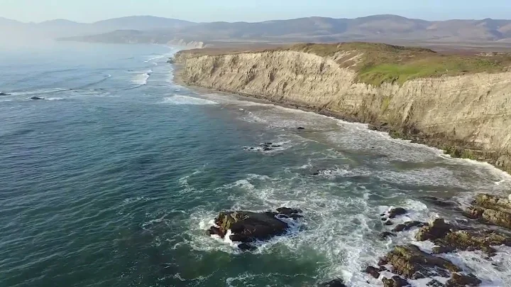 Massive 1000lb Tiger Shark caught while Bottom Fishing in the Bahamas - 4K