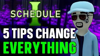 Celebrity 5 GAME CHANGING Tips & Tricks for Schedule 1 Net Worth