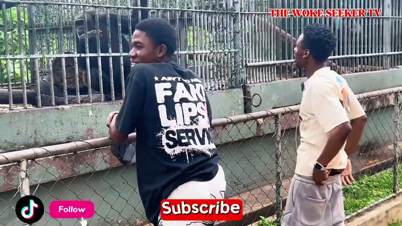 I Didn’t Expect THIS in Kumasi Zoo