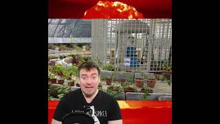 Did Oppenheimer's Bomb Also Give Us Sweetcorn? Not quite...