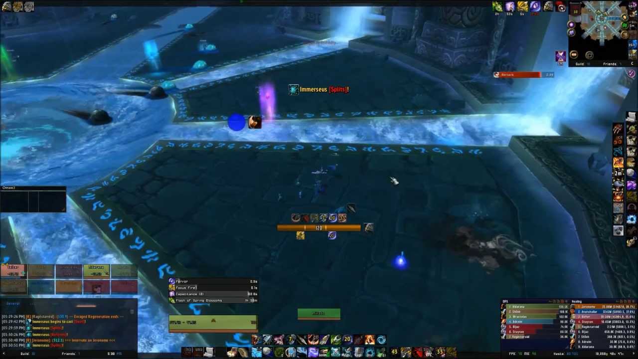 Immerseus BM Hunter PoV