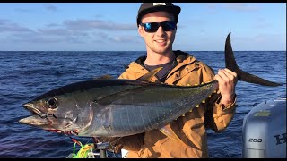 How to target Yellowfin tuna