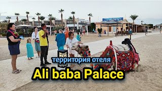  hotel sea Территория отеля ALI BABA PALACE и пляж СЕМЕЙНЫЙ ОТЕЛЬ В ХУРГАДЕ ЕГИПЕТ