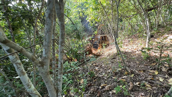 The Struggle of the D6R XL Bulldozer Opening a New Road in the Mountain