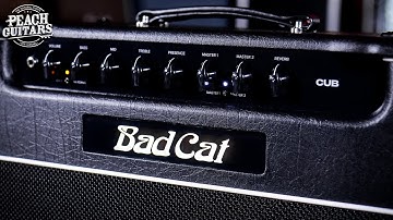 No Talking...Just Tones | Bad Cat "Cub"