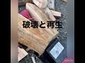 薪割機が楽で早いんじゃないの？って薪割りする度に思う#shorts