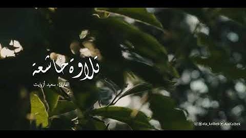 (الله لطيف بعباده) تلاوة خاشعة