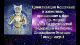 Сильвия Стерлинг: Цивилизация Кошачьих.Члены Галактической Федерации. Ближайшее будущее (2025-2030)
