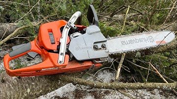 Storm damage trees “short video”