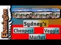 Flemington | Sydney's Cheapest Market for Vegetable | Every Saturday Till 4 PM