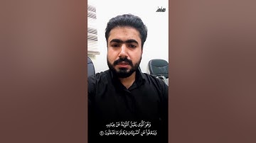 القارئ فيصل مطر، الشورى: (وهو الذي يقبل التوبة عن عباده).. مقام البيات بأبعاده المختلفة..