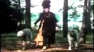 bonzo dog doo dah band - urban spaceman