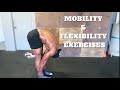 ESSENTIAL  MOBILITY EXERCISES YOU SHOULD BE DOING | Improve Mobility and Reduce pain