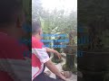 #bonsaimania kolektornya sedang memilih milih bonsai