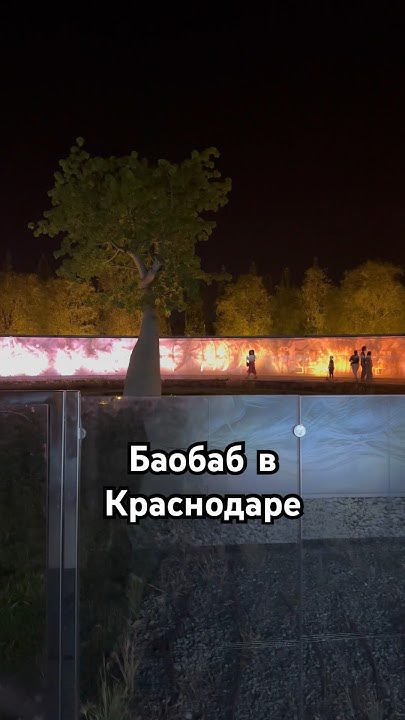 Парк Галицкого «Баобаб» - YouTube