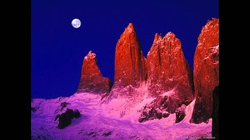 سورة التغابن /الشيخ سعود الشريم