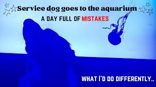 Service dog in trainings first time at the aquarium! | There were so many mistakes