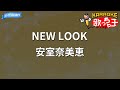 【カラオケ】NEW LOOK/安室奈美恵