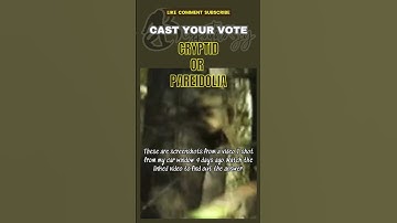 Cryptid Or Pareidolia? Tell Us What U Think & Watch Linked Video 2 See If You Were Right #bigfoot