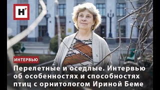 Перелетные И Оседлые. Интервью Об Особенностях И Способностях Птиц С Орнитологом Ириной Беме