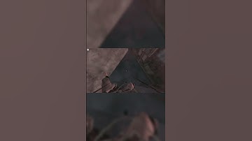 Ставь лайк если жиза  #раст #мем #олдраст #rust #растантирейддом  #rustрейд #мемы