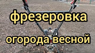 Весна. Заводим мотоблок и в огород! Весенняя фрезеровка