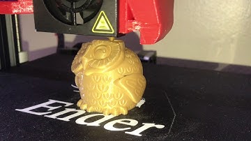 Ender 3 PRO 3d printer - Smiling owl