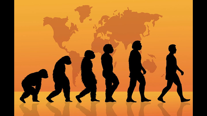 Los Ancestros: Mitos y Realidades