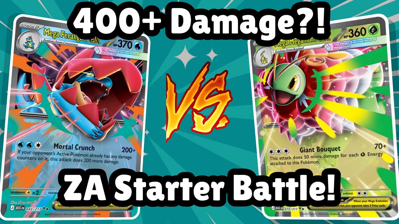 Mega Feraligatr ex VS Mega Meganium ex | Ascended Heroes | ZA