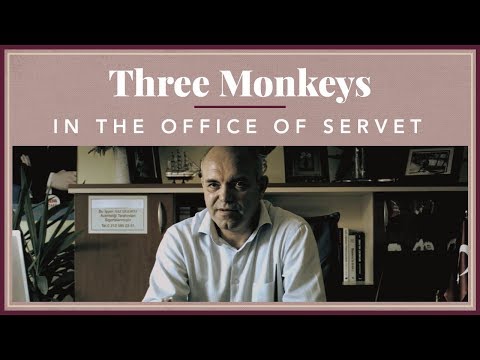 Video: 3 bilge maymunun sırası nedir?