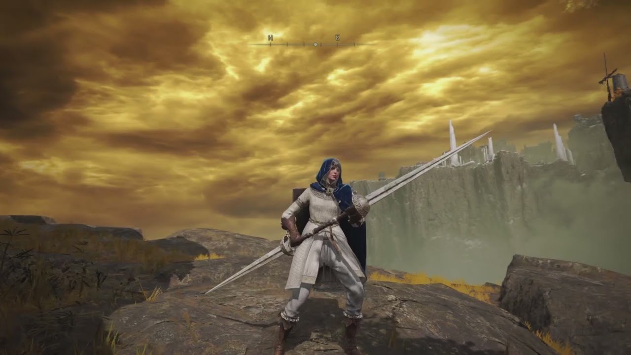 Elden Ring Twinned Knight Swords Location and Move Set Demonstration