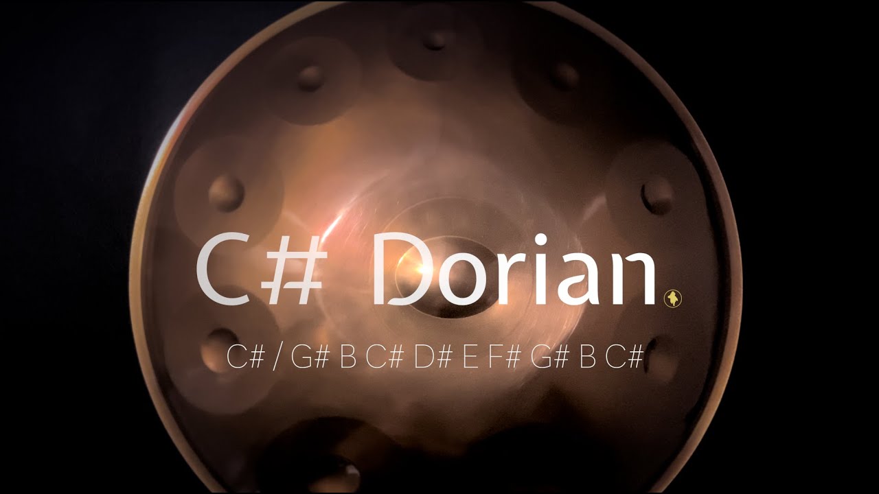 2022 C# Dorian | Snd Handpan | 정품 스테인레스 핸드팬