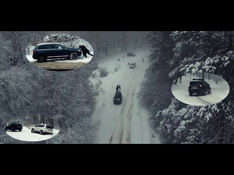 რა მოხდა საბადურის ტყეში??? | SABADURI FOREST | სამაშველო ოპერაციები და საეჭვო ციგის ისტორიები.