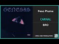 Peso Pluma - CARNAL Lyrics English Translation - ft Natanael Cano - Spanish and English Dual Lyrics