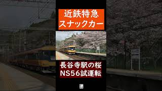 【懐かしの近鉄特急】12200系NS56編成、あをによし改造前の試運転のようす