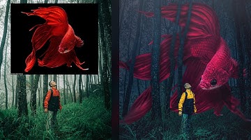 Fantasy Fish Photo Manipulation Photoshop Tutorial