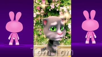 Nhạy theo điệu nhảy của các chú mèo nào các bạn ơi