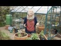 How to grow herbs | Grow at Home | Royal Horticultural Society