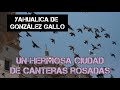 Algunas fotos de Yahualica de González Gallo Capital Mundial del Chile Realmente hermosa