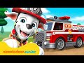 La Pat Patrouille La Pat Patrouille Mission Sauvetage Incendie Avec Marcus Et Rocky 