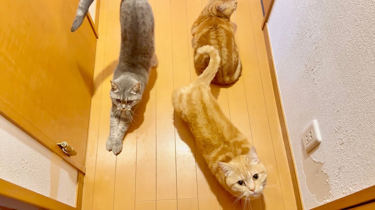 みゅうちゃんにまさかの想定外だったことがおきました。