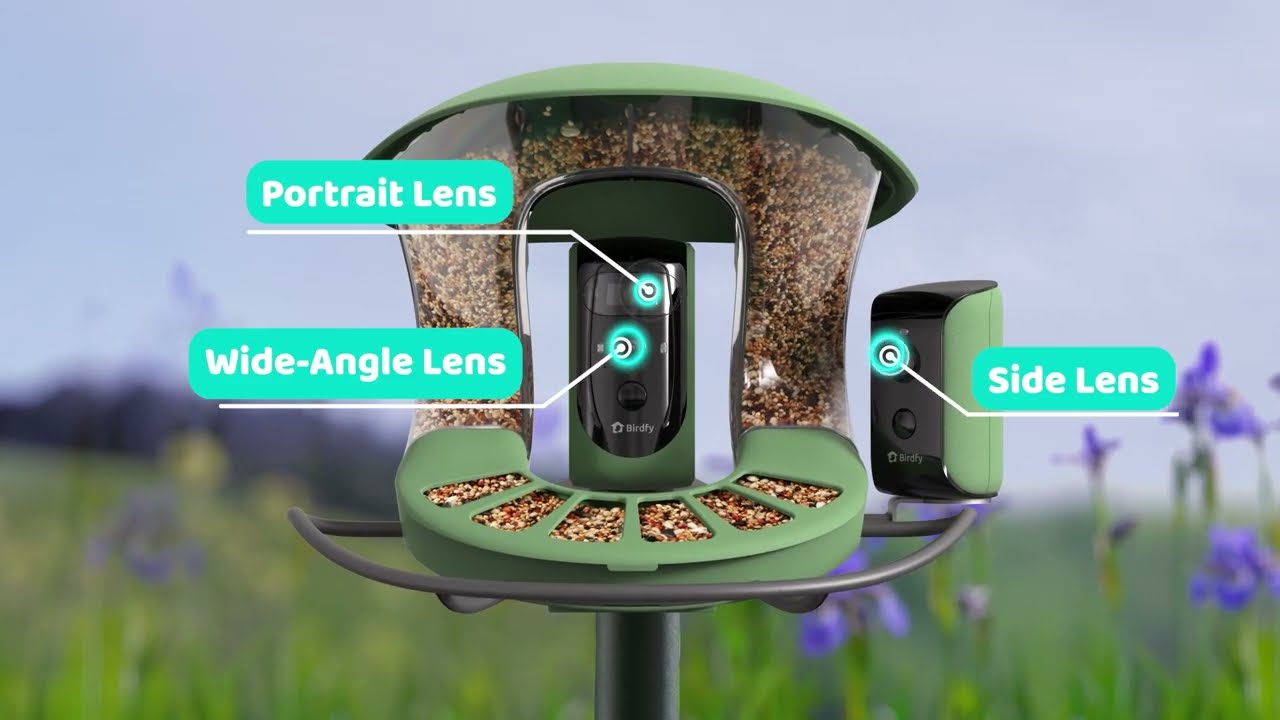 Birdfy 2 Pro Mangeoire Oiseaux Avec Caméras - Détection Automatique Solaire - App Et Notifications