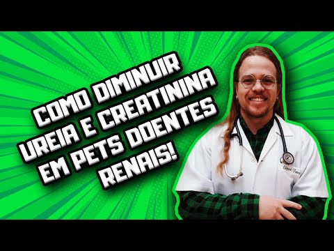 Vídeo: Pomadas oculares sem receita para cães