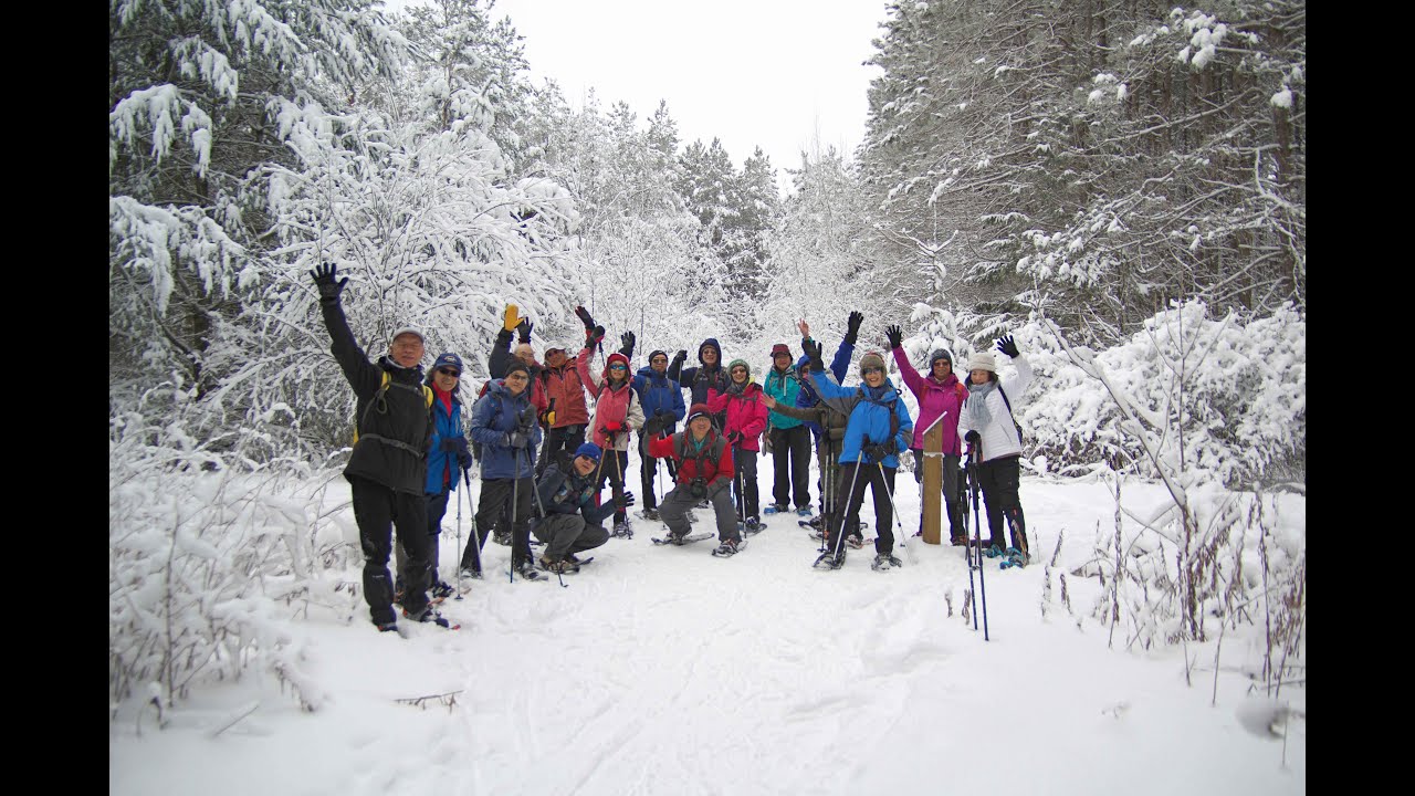 Snowshoeing at Walker Woods Conservation, Uxbridge, Ontario. YouTube