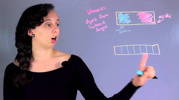 What Is the Difference Between Litmus & an Acid Base Indicator? : The Marvels of Chemistry