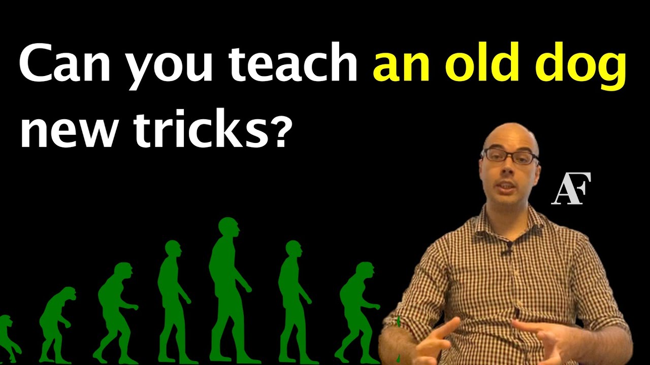 Can you teach an old dog new tricks? - YouTube