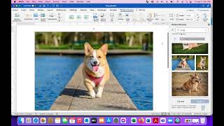 Word Work 6: Clipart
