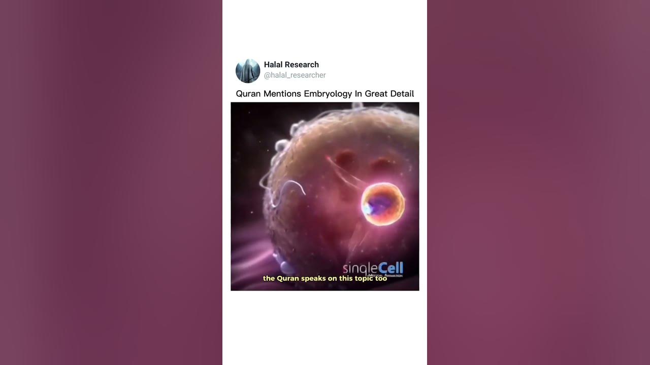 Male sperm determines gender of baby in quran youtube